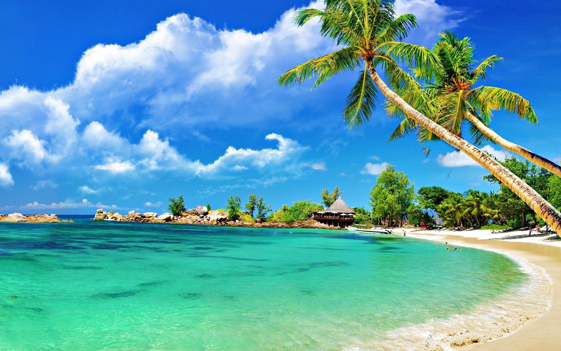 Pemandangan Pantai Cantik Dengan Tema Pokok Kelapa Azhanco