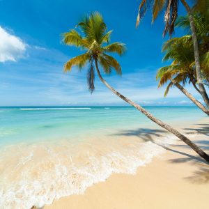 Amazing Caribbean Beach Scenery in HD