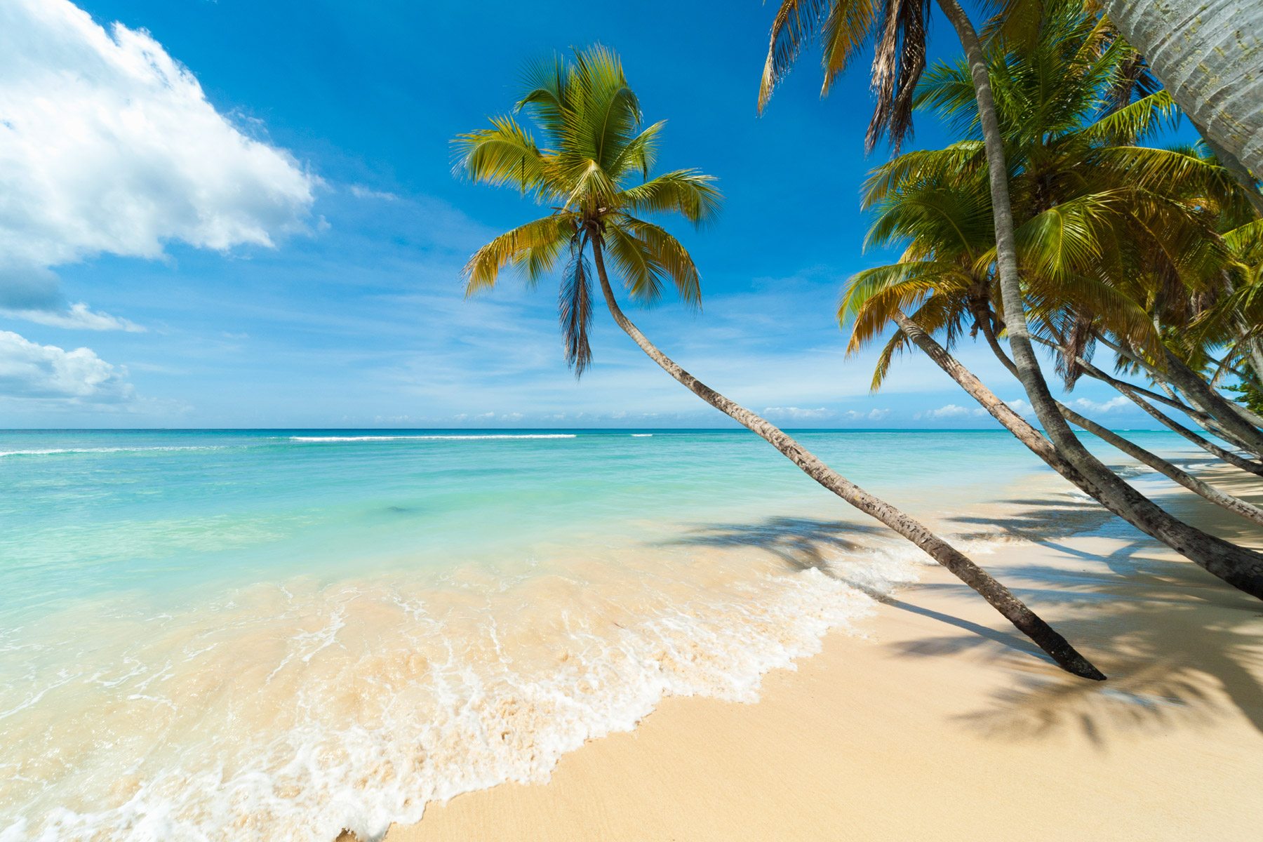 Amazing Caribbean Beach Scenery in HD