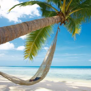 Beach Hammock HD Wallpapers