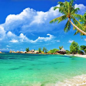 Beautiful Beach, Sea and Coconut Palm Tree