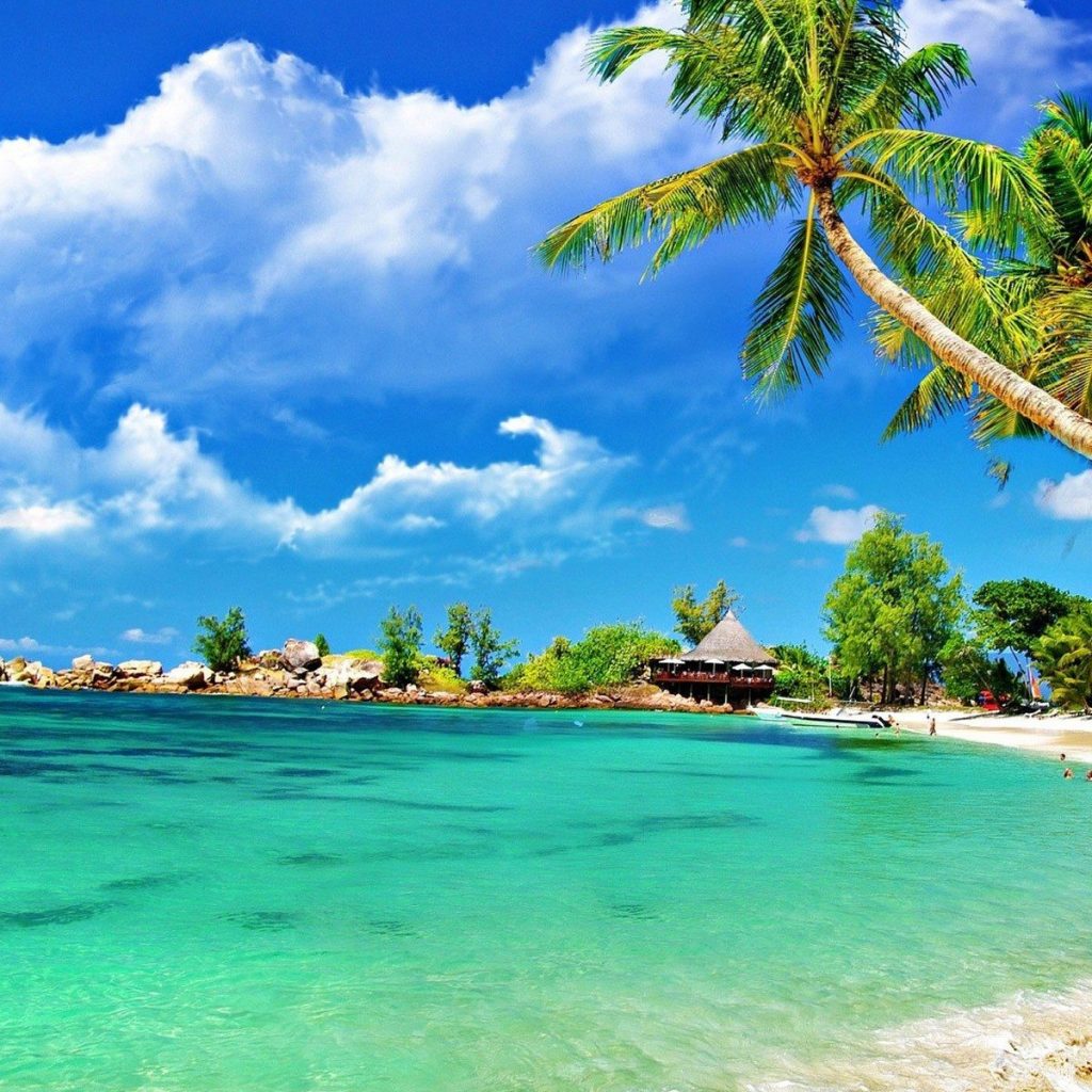 Pemandangan Pantai Cantik Dengan Tema Pokok Kelapa | Azhan.co
