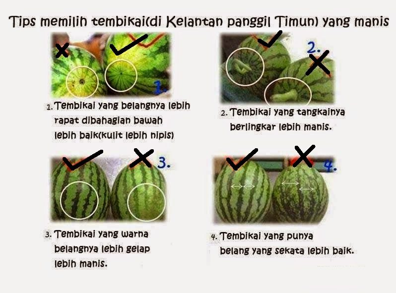 Petua Pilih Tembikai Manis