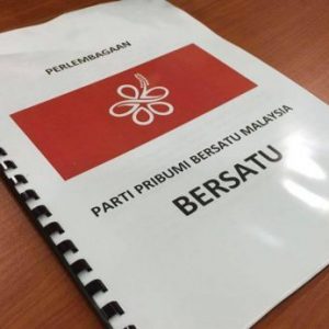 Perlembagaan Parti Bersatu