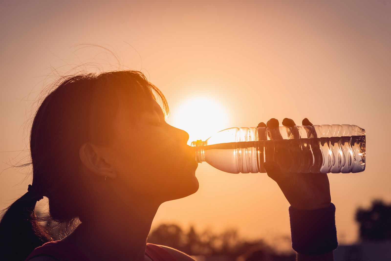 Cuaca Panas Perempuan Minum Air