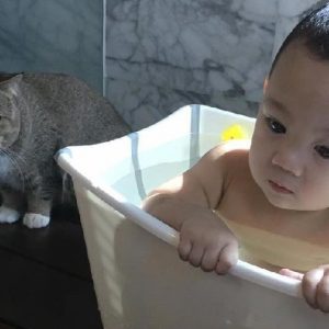 Foto Yusuf Iskandar Dan Kucing Comel Bujibu