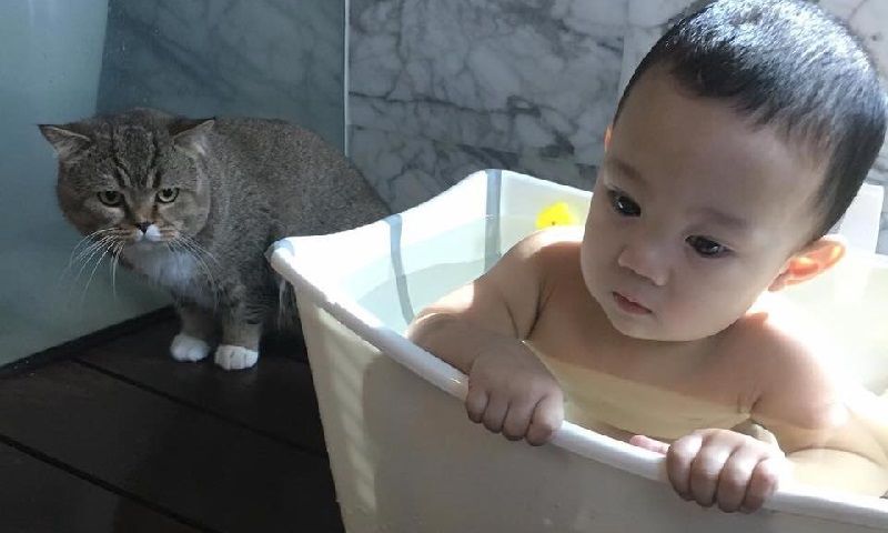 Foto Yusuf Iskandar Dan Kucing Comel Bujibu