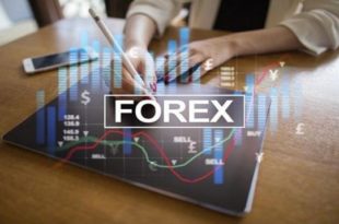 Forex2.0 1